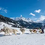 Gadmer - Dein Zuhause In Den Bergen Am Sustenpass Im Berner Oberland 3*