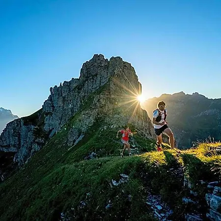 Gadmer - Dein Zuhause In Den Bergen Am Sustenpass Im Berner Oberland 3*