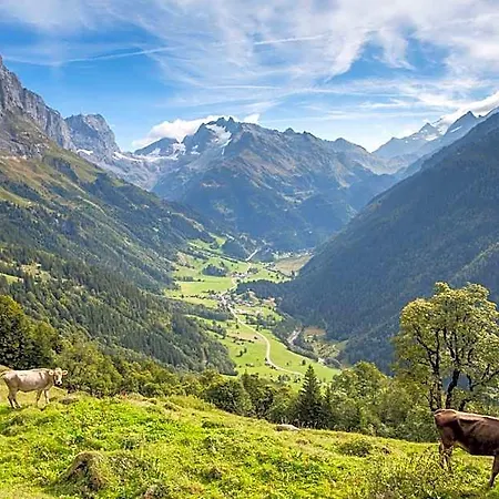 Ξενοδοχείο Gadmer - Dein Zuhause In Den Bergen Am Sustenpass Im Berner Oberland 3*