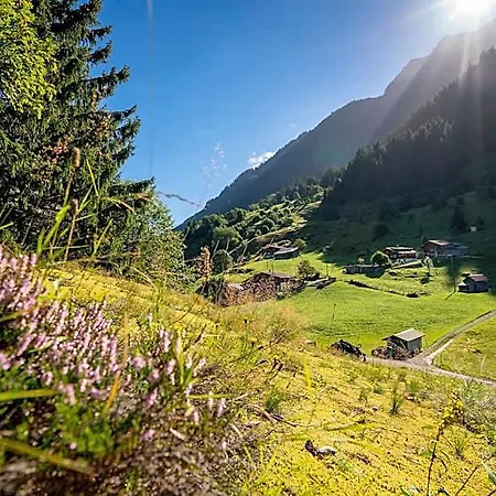 Gadmer - Dein Zuhause In Den Bergen Am Sustenpass Im Berner Oberland 3*