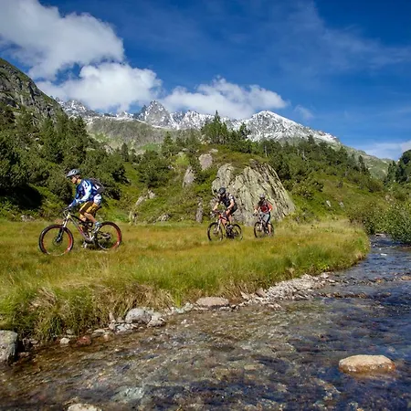 酒店 Gadmer - Dein Zuhause In Den Bergen 3*