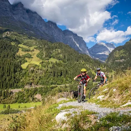 Hotel Gadmer - Dein Zuhause In Den Bergen 3*