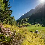 Hotel Gadmer - Dein Zuhause In Den Bergen Am Sustenpass Im Berner Oberland