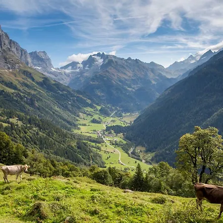 Hotel Gadmer - Dein Zuhause In Den Bergen 3*