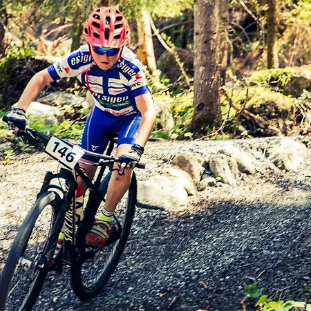 Gadmer - Dein Zuhause In Den Bergen Hotel 3*