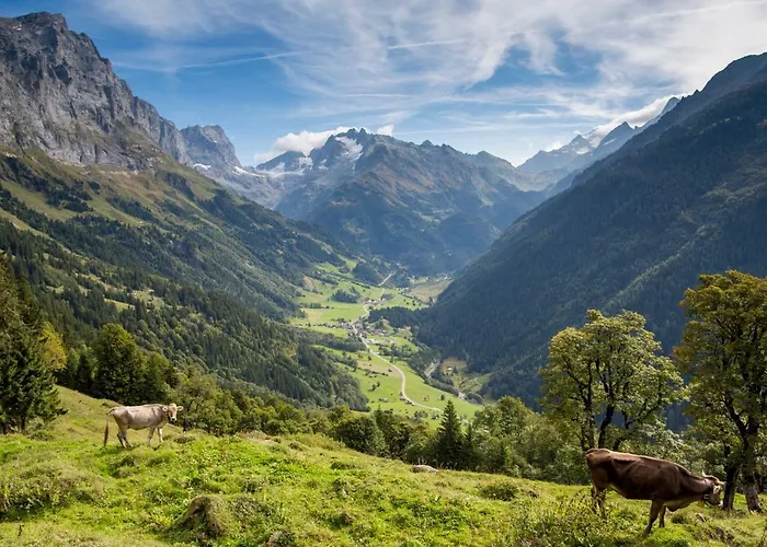 Szálloda Gadmer - Dein Zuhause In Den Bergen Am Sustenpass Im Berner Oberland 3*