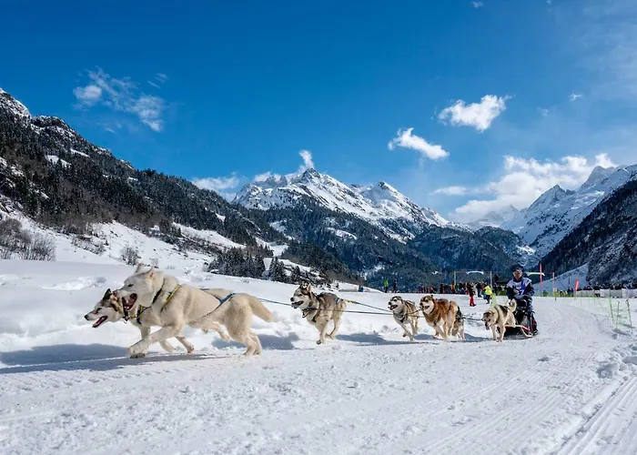Gadmer - Dein Zuhause In Den Bergen Am Sustenpass Im Berner Oberland 3*