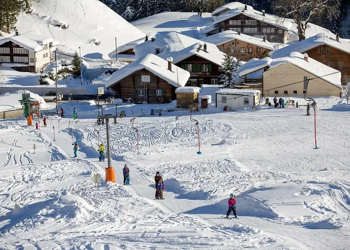 Gadmer - Dein Zuhause In Den Bergen Am Sustenpass Im Berner Oberland 3*
